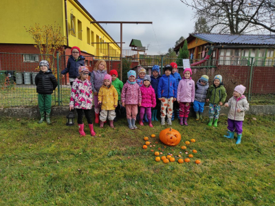 IMG_20241101_110044