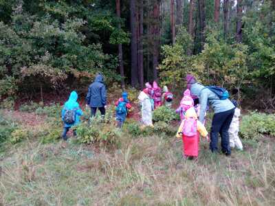 IMG-20241004-WA0054