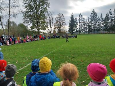 IMG-20241018-WA0090