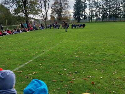 IMG-20241018-WA0080