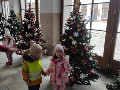 IMG_20241210_100349