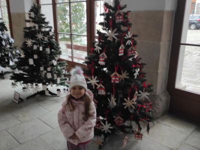 IMG_20241210_100414
