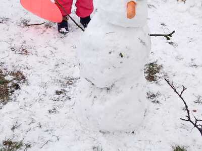 IMG-20250118-WA0029