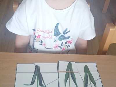 IMG-20250329-WA0117