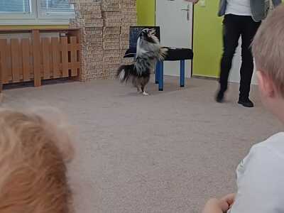 IMG-20260222-WA0061