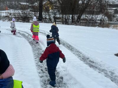 IMG-20260117-WA0166
