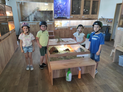 IMG_20260528_084702